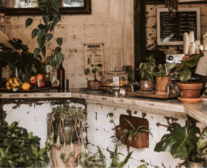 Lee más sobre el artículo Crasemper Auctor Neque Witaetempus