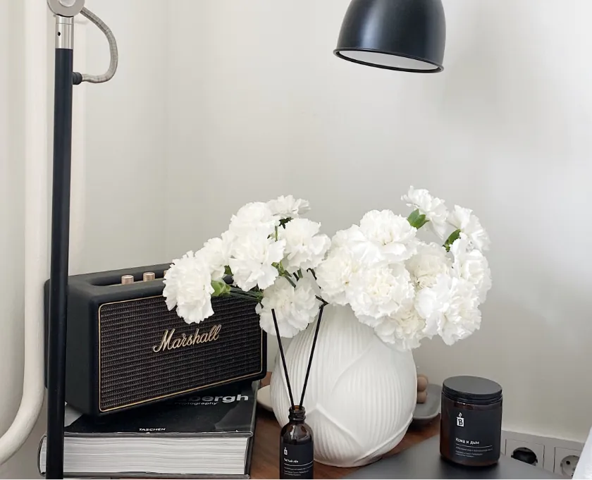 Lee más sobre el artículo Egestas Diam Onarcu Cursus Euismod