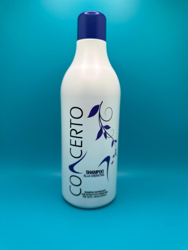 Shampoo Concerto